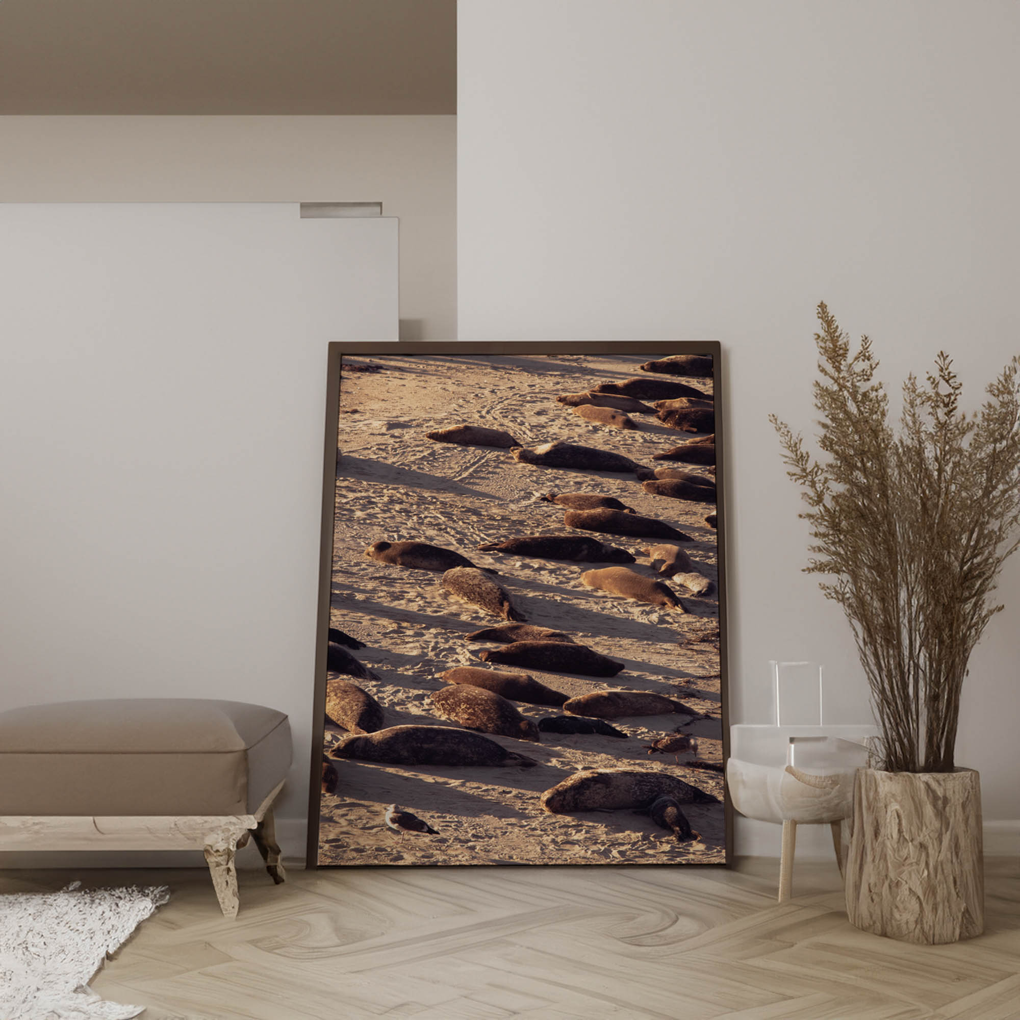 La Jolla Cove Poster